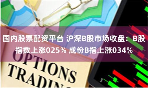 国内股票配资平台 沪深B股市场收盘：B股指数上涨025% 成份B指上涨034%