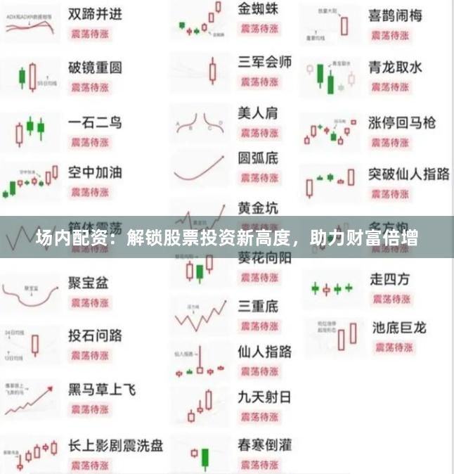 场内配资：解锁股票投资新高度，助力财富倍增