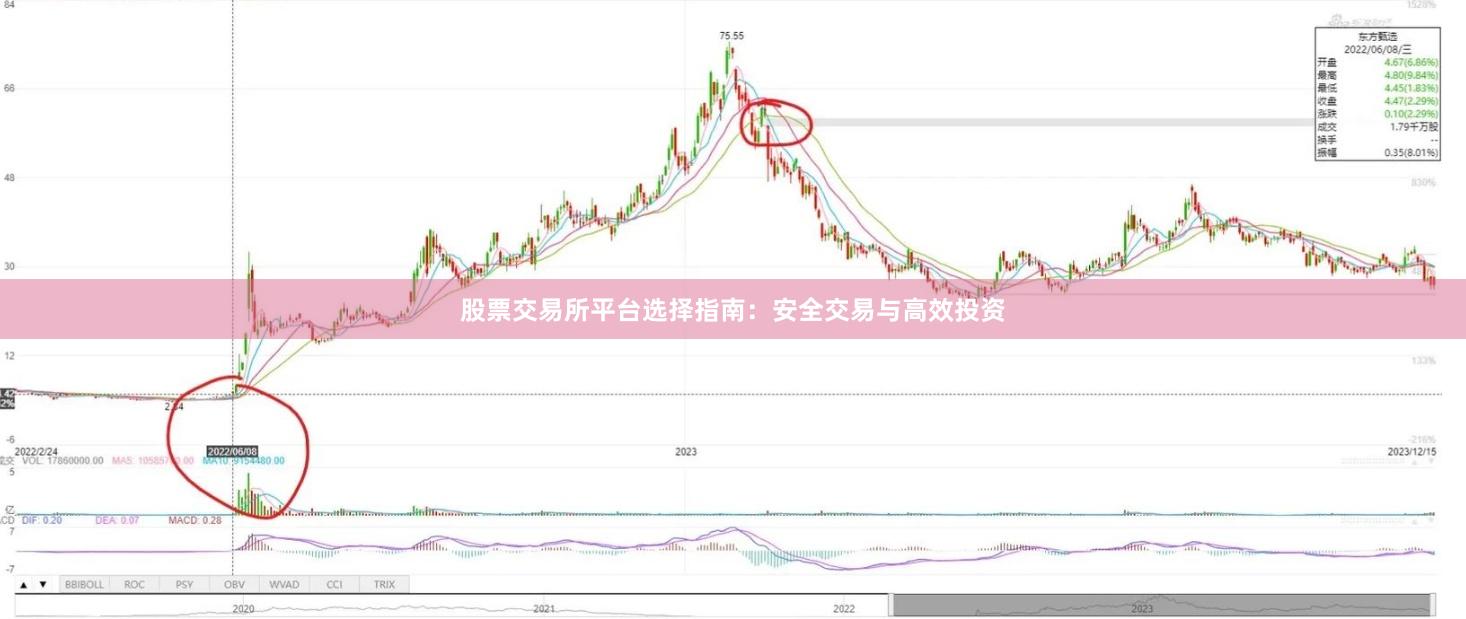 股票交易所平台选择指南：安全交易与高效投资